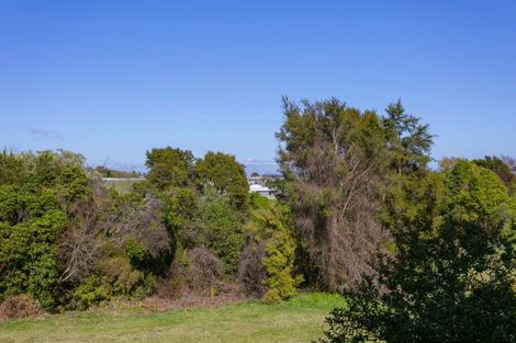 Photo of property in 67 Chesham Avenue, Waipahihi, Taupo, 3330