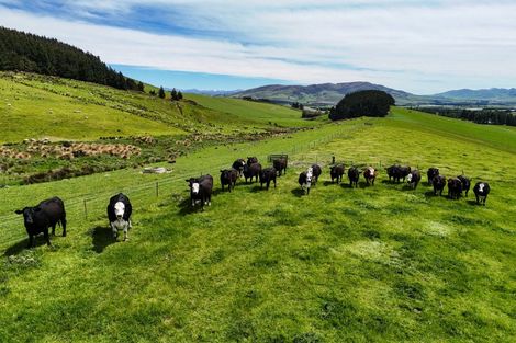 Photo of property in 242 Caroline Valley Road, Caroline, Dipton, 9791