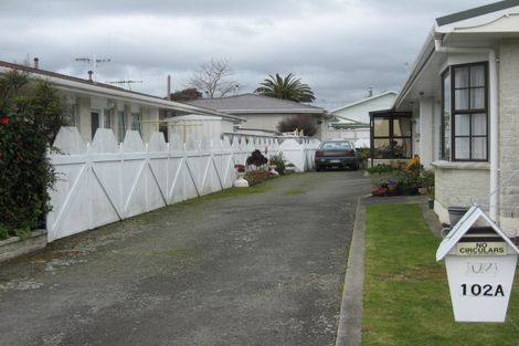 Photo of property in 102a Winchester Street, Levin, 5510