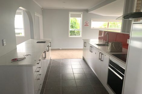 Photo of property in 60 Webster Avenue, Mount Roskill, Auckland, 1041