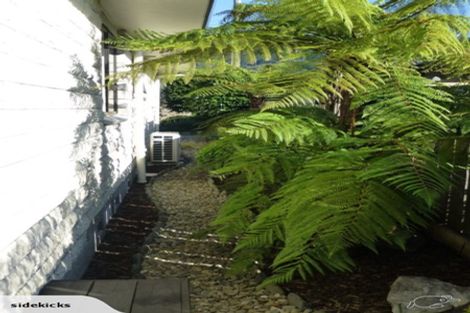 Photo of property in 9 Roeske Street, Richmond, 7020