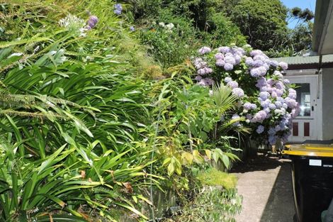 Photo of property in 21 Creagh Street, Tapu, Thames, 3575