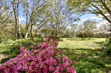 Photo of property in 71 Stanly Street, Eketahuna, 4900