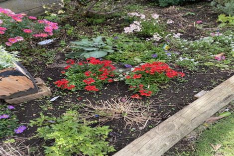 Photo of property in 100 Centennial Avenue, Waitara, 4320