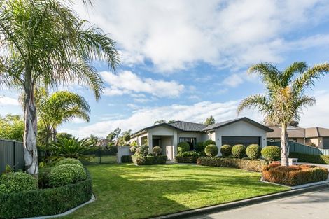 Photo of property in 77 Northwood Avenue, Mahora, Hastings, 4120