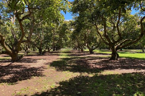 Photo of property in 7 Sedgemoor Lane, Tahawai, Katikati, 3178