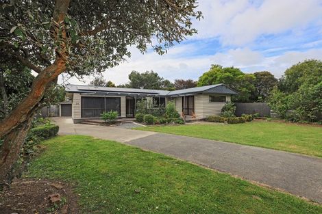 Photo of property in 24 Jervois Road, Jervoistown, Napier, 4112