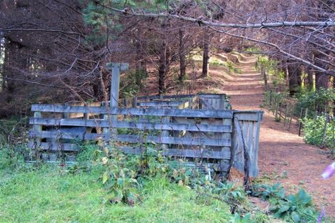 Photo of property in 55 Reikorangi Road, Waikanae, 5391