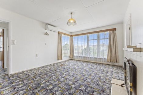 Photo of property in 20 Winchester Street, Levin, 5510