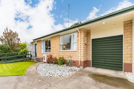 Photo of property in 21c Belt Street, Waimate, 7924