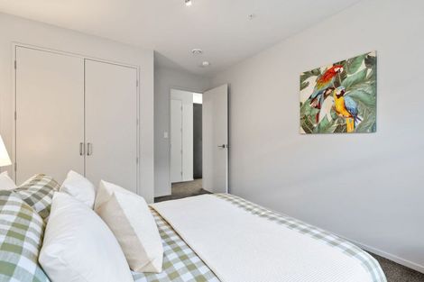 Photo of property in Detroit Apartments, 213/181 Tasman Street, Mount Cook, Wellington, 6021