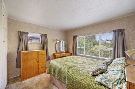 Photo of property in 910 Lawrence Street, Akina, Hastings, 4122