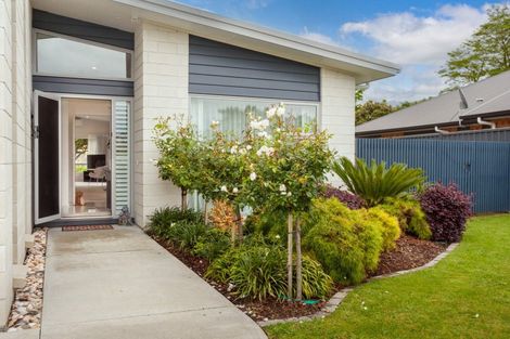 Photo of property in 68 Findlater Street, Matamata, 3400