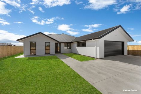 Photo of property in 176 Ranfurly Road, Feilding, 4702