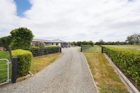 Photo of property in 271 Reid Line East, Aorangi, Feilding, 4775