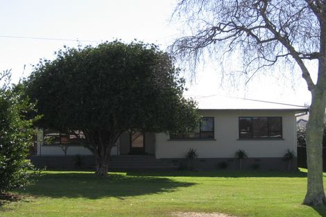 Photo of property in 115 Sixteenth Avenue, Tauranga South, Tauranga, 3112