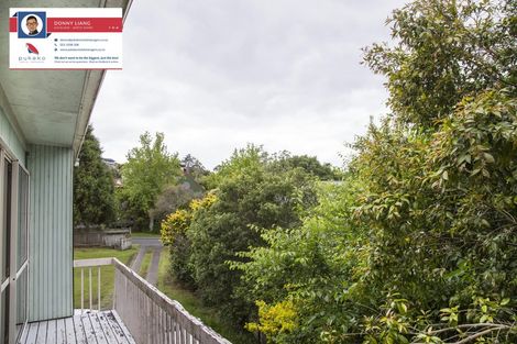 Photo of property in 52 Lynden Avenue, Hillcrest, Auckland, 0627