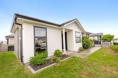 Photo of property in 77 Union Drive, Papamoa, 3118
