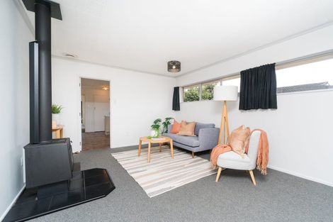 Photo of property in 22 Erin Street, Hokowhitu, Palmerston North, 4410