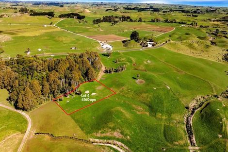 Photo of property in 183 Warea Road, Warea, 4381