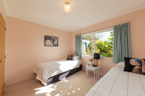 Photo of property in 84 Awahou Road South, Ashhurst, 4884