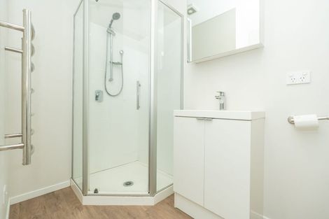 Photo of property in 20 Village Quarter Lane, Frankton, Hamilton, 3204