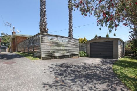 Photo of property in 149 Rimu Street, Maeroa, Hamilton, 3200