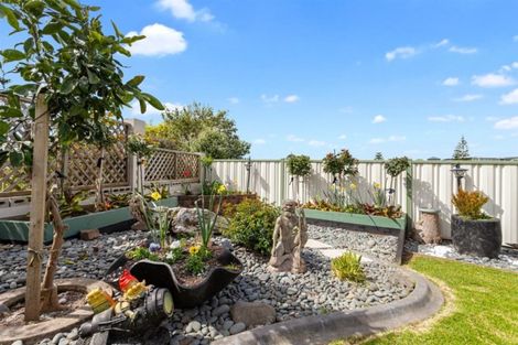Photo of property in 19 The Glebe, Coastlands, Whakatane, 3120