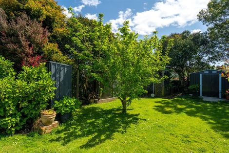 Photo of property in 16 Macfarlane Street, Kawakawa, 0210