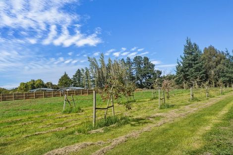 Photo of property in 31 Tramway Road, Kirwee, Darfield, 7571