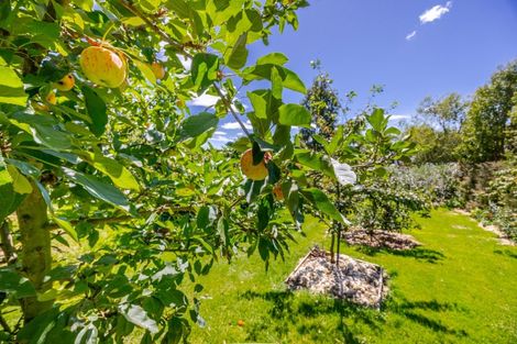 Photo of property in 112a Mount Herbert Road, Waipukurau, 4200