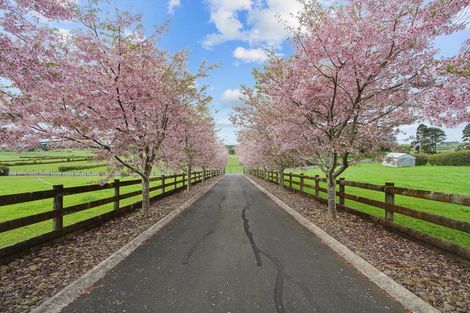 Photo of property in 137 Hart Road, Pukekohe, 2676