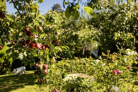 Photo of property in 4 District Road, Roseneath, Port Chalmers, 9023