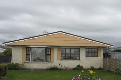 Photo of property in 100 Winchester Street, Levin, 5510