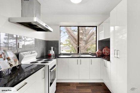 Photo of property in 25a Marion Avenue, Mount Roskill, Auckland, 1041