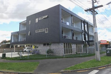 Photo of property in 13a Greensboro Street, Hamilton East, Hamilton, 3216