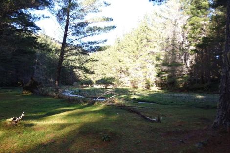 Photo of property in 1677 Takaputahi Road, Toatoa, Opotiki, 3197