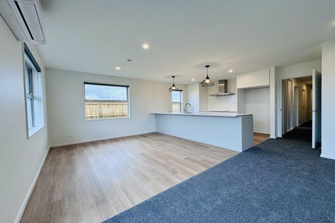 Photo of property in 65 Harrison Drive, Rolleston, 7614