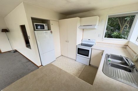 Photo of property in 95a Conway Street, Somerfield, Christchurch, 8024