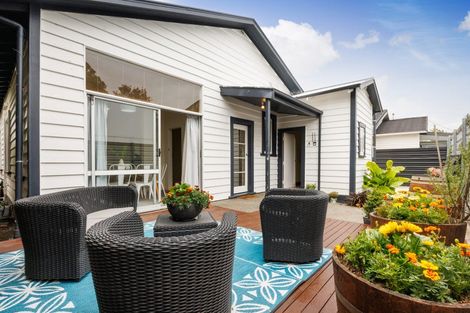Photo of property in 17 Knowles Street, Terrace End, Palmerston North, 4410