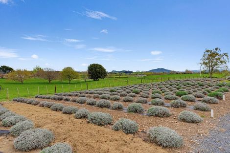 Photo of property in 169 Brotherhood Road, Kihikihi, Te Awamutu, 3875