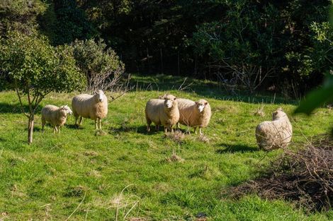 Photo of property in 16 Tarapatiki Drive, Whitianga, 3510