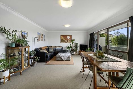 Photo of property in 20a Pine Avenue, Otumoetai, Tauranga, 3110