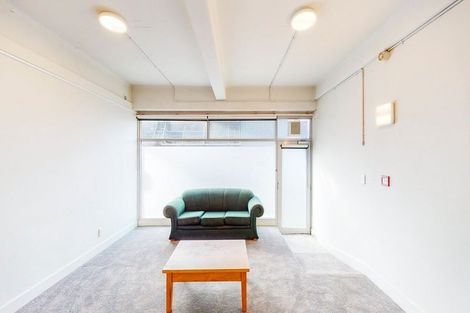 Photo of property in 195a Vivian Street, Te Aro, Wellington, 6011