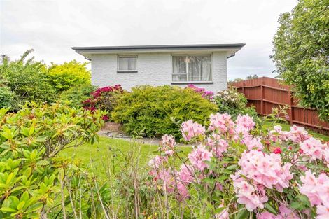 Photo of property in 231 Regent Street, Heidelberg, Invercargill, 9812