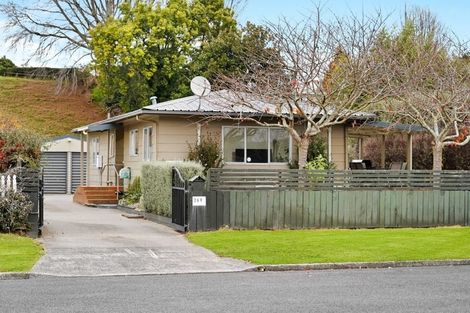 Photo of property in 269 Sinclair Terrace, Te Awamutu, 3800