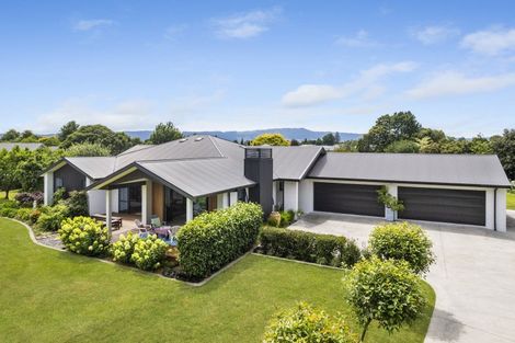 Photo of property in 41 Eldonwood Drive, Matamata, 3400