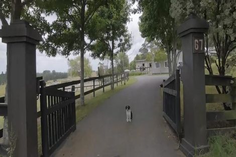 Photo of property in 67 Horseshoe Bush Road, Dairy Flat, Albany, 0794