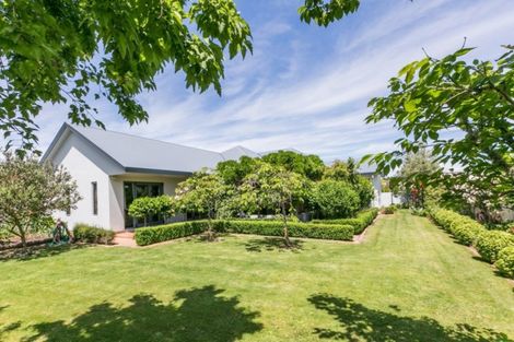 Photo of property in 46 Palmbrook Avenue, Havelock North, 4130