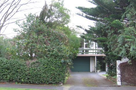 Photo of property in 29 Heatley Avenue, Hokowhitu, Palmerston North, 4410